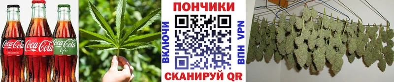 даркнет сайт  Суджа  Cannafood конопля 